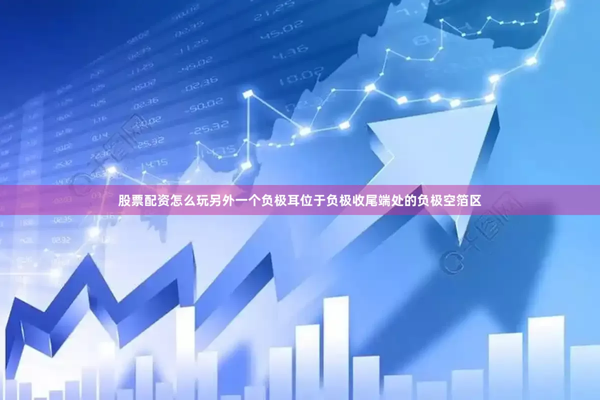 股票配资怎么玩另外一个负极耳位于负极收尾端处的负极空箔区