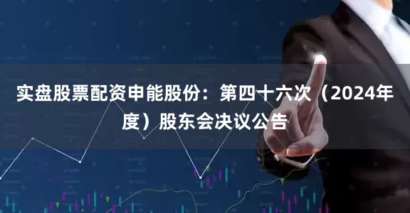 实盘股票配资申能股份：第四十六次（2024年度）股东会决议公告
