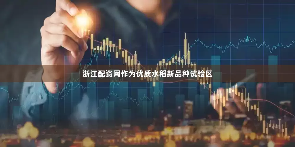 浙江配资网作为优质水稻新品种试验区