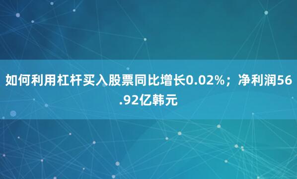 如何利用杠杆买入股票同比增长0.02%；净利润56.92亿韩元