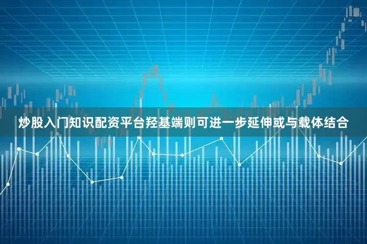 炒股入门知识配资平台羟基端则可进一步延伸或与载体结合