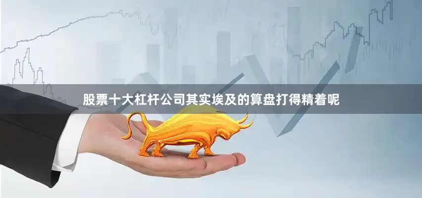 股票十大杠杆公司其实埃及的算盘打得精着呢