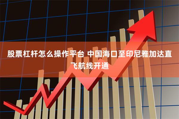 股票杠杆怎么操作平台 中国海口至印尼雅加达直飞航线开通